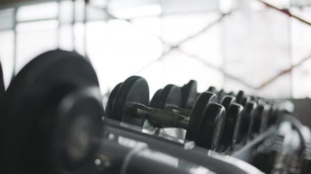 Las manos femeninas tomando pesas en el club de gimnasia . — Vídeos de Stock