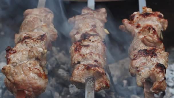 Bbq meat skewers grilling at picnic. Close up shish kebab on charcoal grill — Stock Video