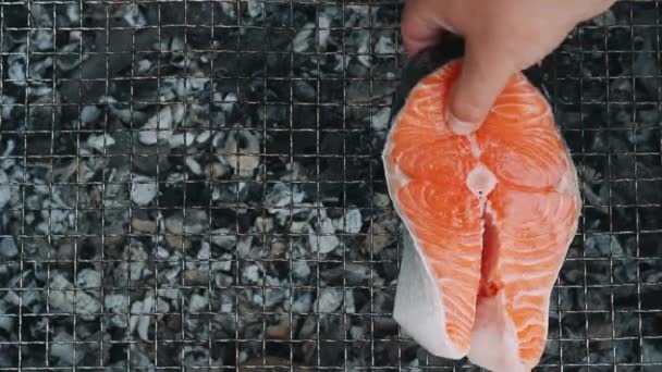 Salmon steak grilling on charcoal grill. Closeup grilling salmon fillet on grill — Stock Video