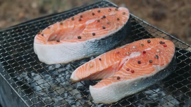 Grilling salmon fillet on smoking grill. Close up salmon fillet on grill — Stock Footage Grilling salmon fillet on smoking grill. Close up salmon fillet on grill Stock Footage
