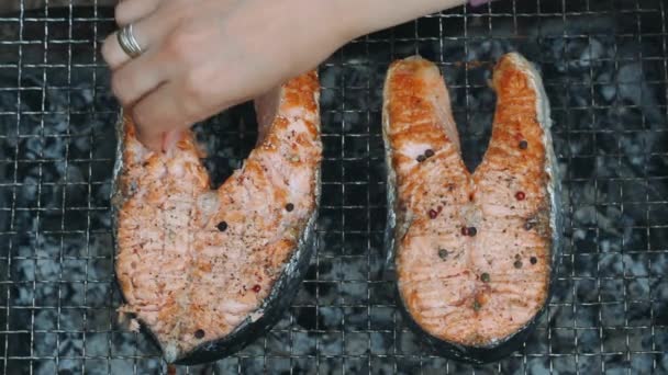 Kochen Hand Würzen Lachssteak schwarze Paprika Erbsen. Lachs grillen auf dem Grill — Stockvideo