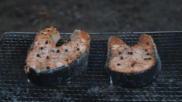 Lachssteak auf heißem Grill grillen. Nahaufnahme Lachsfilet Kochen auf Grill — Stockvideo