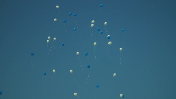 Palloncini vacanze che volano nel cielo blu. Palloncini bianchi e blu di compleanno in cielo — Video Stock