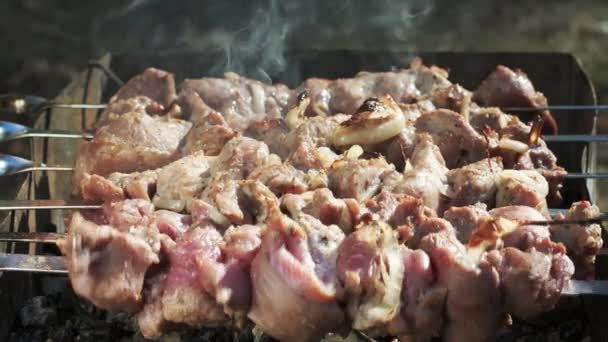 Сырое мясо на гриле на открытом воздухе. Закрыть свежее мясо шампуры на гриле — стоковое видео