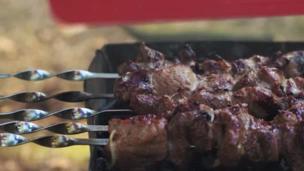 Carne fresca em espetos grelhados na grelha. Closeup preparação carne bbq — Vídeo de Stock