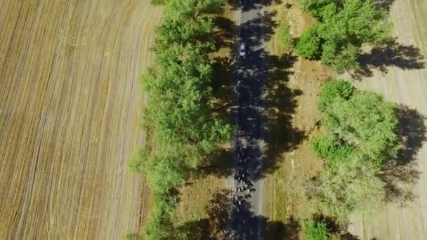 Widok lotniczy wyścig rowerowy na wsi autostrady na żółtych polach krajobrazu — Wideo stockowe