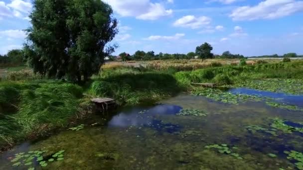 Antenne landschap dorp aan de oever van de rivier. Visser vangen vis op vissersboot — Stockvideo