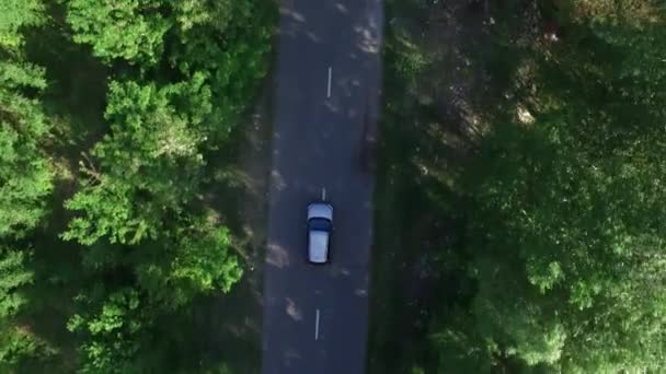Voiture vue du dessus conduisant sur la route asphaltée devant les arbres verts campagne — Video