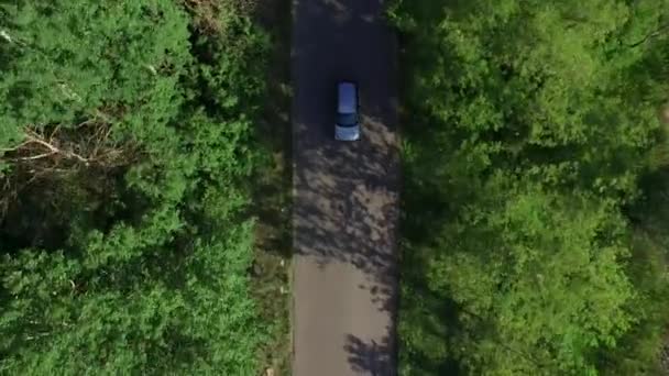 Автомобіль з видом на дрон, що рухається по шосе минулого літнього лісу в сільській місцевості — стокове відео