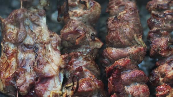 Grillfleisch am Spieß beim Picknick. Nahaufnahme Shish Dönergrillen auf dem Grill — Stockvideo