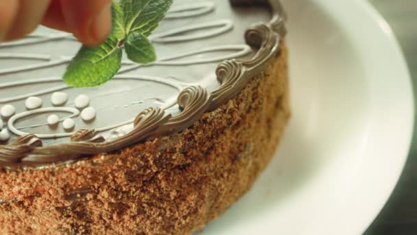 Gros plan femme décoration à la main gâteau à la menthe fraîche. Gâteau décoratif confiseur — Video