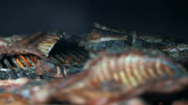 Piknik için ızgara otlu domuz eti. Domuz kaburgaları arka bahçede pişiyor.