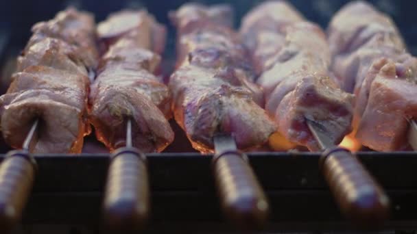 Brochetas de cerdo de primer plano a la parrilla en fuego abierto. Carne shashlik en brochetas de metal . — Vídeos de Stock