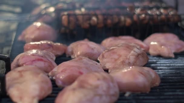 Acercamiento pechuga de pavo tostado para picnic al aire libre. Asar carne de pollo . — Vídeos de Stock