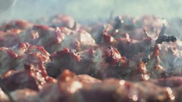 Primer plano fumar carne en la parrilla barbacoa al aire libre. Parrilla de barbacoa ahumada sobre parrilla — Vídeo de stock