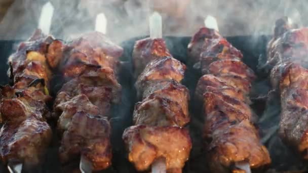 Brochetas de cerdo de cerca cocinando a la parrilla al aire libre. Asar barbacoa ahumada . — Vídeos de Stock