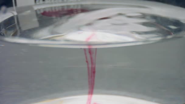 Fechar gotas de sangue caindo na água. Artigos de vidro de laboratório com sangue — Vídeo de Stock
