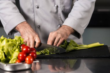 Aşçı elleri mutfak masasında sebze kesiyor. Yakından bak, kerevizi bıçakla kes..