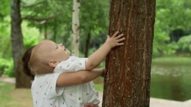 Kardeş parkta bir çocuğu tutuyor. Çocuğa ağaca tırmanması için yardım eden çocuk