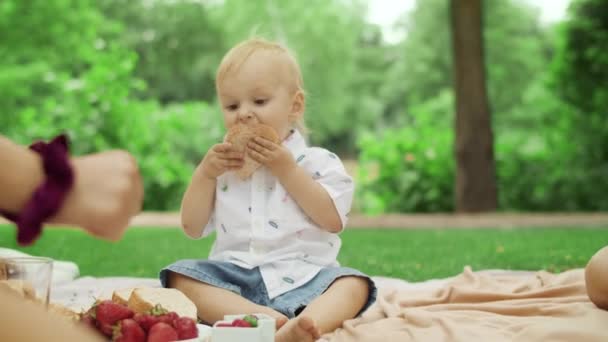 Uma criança a comer pão no piquenique. Bonito crianças passar tempo no parque — Vídeo de Stock
