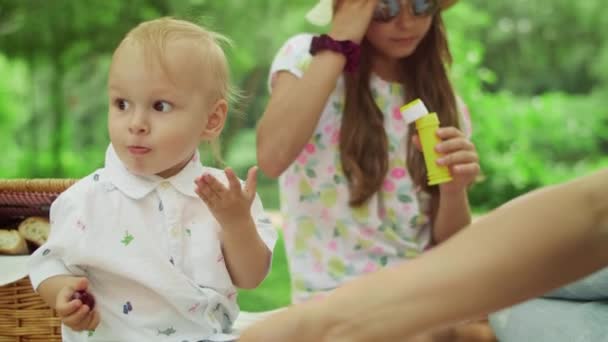 Οικογενειακό σαββατοκύριακο στο καλοκαιρινό πάρκο. Μικρό αγόρι τρώει κεράσια στο πικνίκ — Αρχείο Βίντεο
