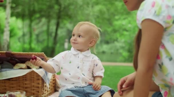 幼児はピクニックで母親にチェリーを与える。森の中で一緒に休んでいる家族 — ストック動画