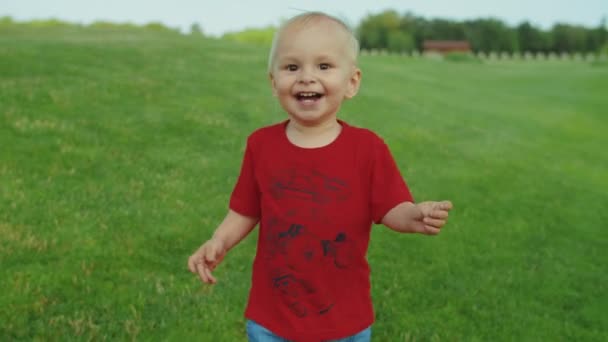 A kisgyerek zöld mezőn sétál. Mosolygó fiú gesztikulál a kezével a szabadban — Stock videók