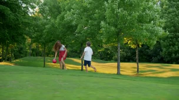 母亲和孩子们在草地上玩球。家庭在外面享受时光 — 图库视频影像