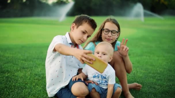 Children taking selfie on smartphone in field. Boys and girl using cellphone — Stock Video