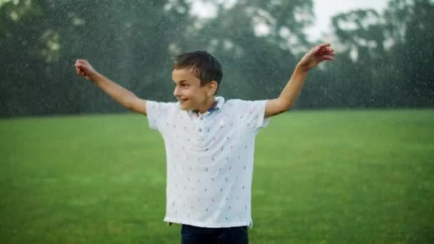 Joyful boy standing in meadow. Kid getting wet under water sprinkler in park — Stock Video