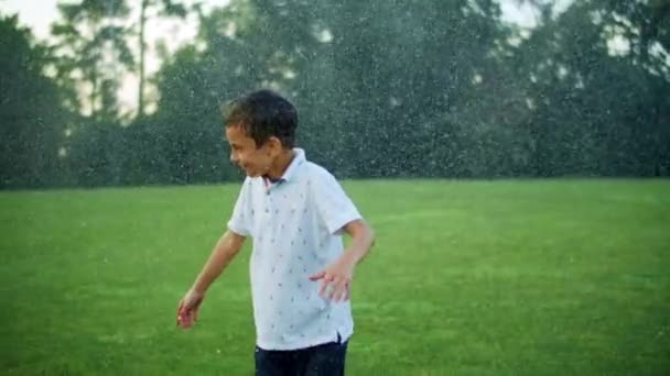 Boy standing in green meadow. Child getting wet under water sprinkler in field — Stock Video