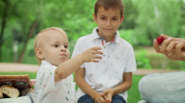 Familjen har picknick i parken. Småbarn äter körsbär.Broder kysser pojke på kinden — Stockfoto
