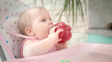 Bebek sandalyede kırmızı biber kemiriyor. Bebek sebze diyeti. Çocuk için sağlıklı beslenme