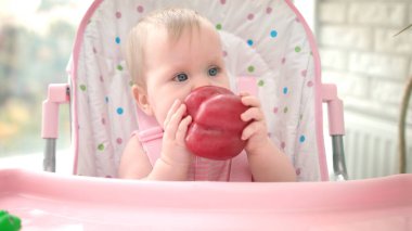 Sevimli bebek kırmızı biber yiyor. Sağlıklı bebek maması. Bebek tatma sebzesi