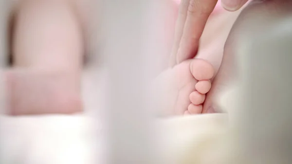 Des mains de mère caressant des pieds de bébé. Mère protégeant bébé. Nouvelle vie — Photo