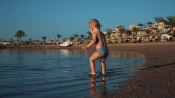 Kis csendes kisfiú sétál a tengervíz a napkelte tengerparton hurghada üdülőhely. — Stock videók