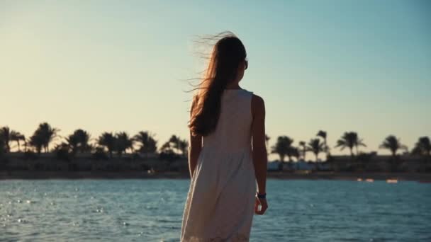 Uzun saçlı genç bayan model güzel kumsal şeridinde yazın tadını çıkarıyor.. — Stok video