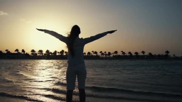 Ragazza felice in piedi sulla spiaggia di sabbia. Donna felice che passa il tempo all'alba al mare. — Video Stock