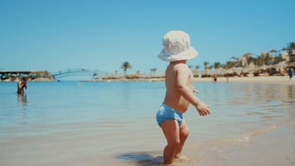 Dulce bebé caminando en agua de mar caliente en la costa en vacaciones de verano. — Vídeos de Stock