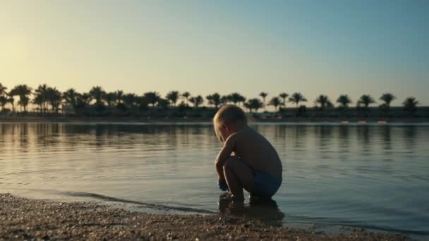 Charmant enfant jouant dans l'eau de mer au coucher du soleil. Enfant jouant avec jouet. — Video