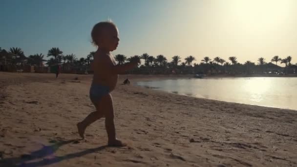 Niño activo tomando el sol en la hermosa playa. Dulce niño jugando en la playa. — Vídeos de Stock