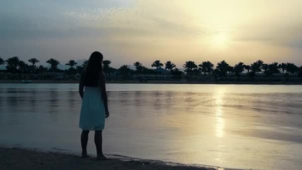 Fiatal nő a tengerparton. Gyönyörű lány felemeli a kezét a tengerparton. — Stock videók