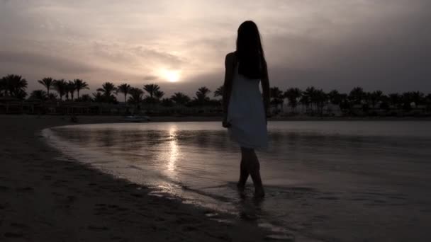 Mujer descalza pasando el tiempo del atardecer en la playa. Linda chica caminando en la costa. — Vídeos de Stock