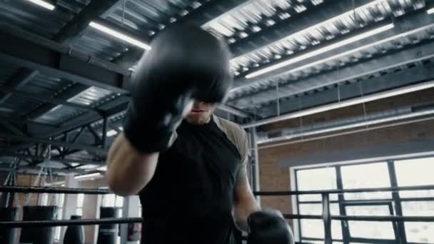 Sportovní boxer cvičí v posilovně. Sportovec ukazující agresivitu na ringu — Stock video