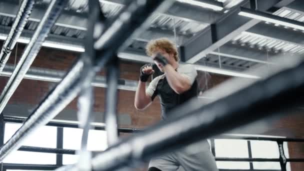 적극적 인 선수가 체육관에서 싸울 준비를 하고 있습니다. 킥 박스 트레이닝 발차기 — 비디오
