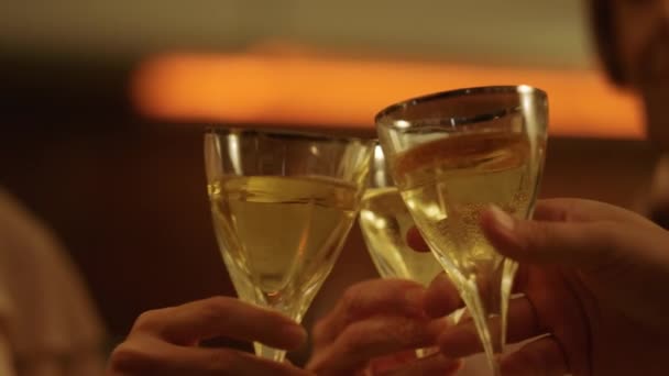 Le mani di famiglia che tengono bicchieri di vino in mano. Persone che brindano con il vino nei calici — Video Stock