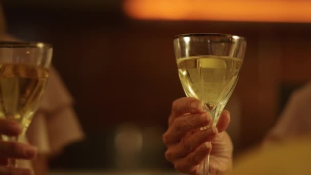 Famiglia che tiene bicchieri di vino in mano. Braccia di persone cliccando bicchieri di vino — Video Stock