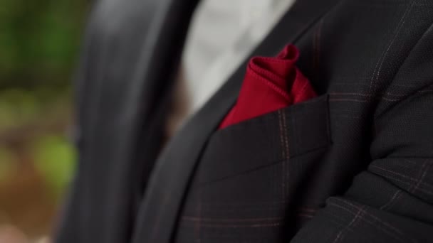 Manos de hombre tocando corbata. Hombre irreconocible preparándose para la ceremonia de boda — Vídeos de Stock