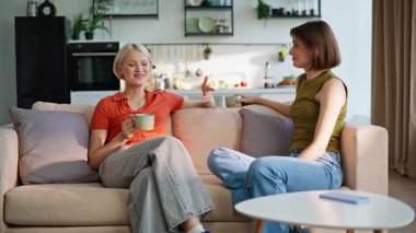 Lgbt çifti koltuktan konuşuyor, rahat atmosferin tadını çıkarıyor. Modern bir dairede iki kadının içki içip sakince sohbet etmesi. Lezbiyen kızlar evlerinde dostça sohbet ederler.