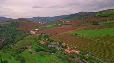 Panorama terraced fields stretching mountain hillside in rural valley. Drone view agricultural layers under overcast sky. Cultivated ground showing serene farming tradition. Rural plantation landscape